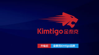 金泰克如何创建属于自己的芯时代